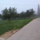 assisi-05-cl-018