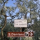 assisi-05-cl-023