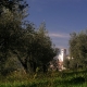 assisi-05-cl-032