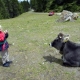 Minifreizeit in Pfelders