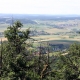 falkenstein-08-066