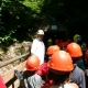 falkenstein-08-071