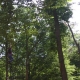 falkenstein-08-179