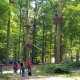 falkenstein-08-182