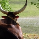 provence-camargue-09-004