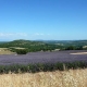 provence-camargue-09-015
