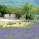 provence-camargue-09-052