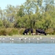 provence-camargue-09-114