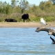 provence-camargue-09-115