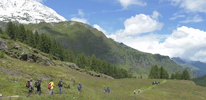 Wanderung zum Lazins-Hof