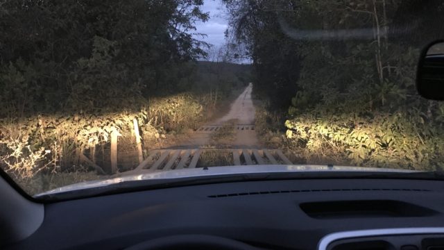 Zwischen den Welten