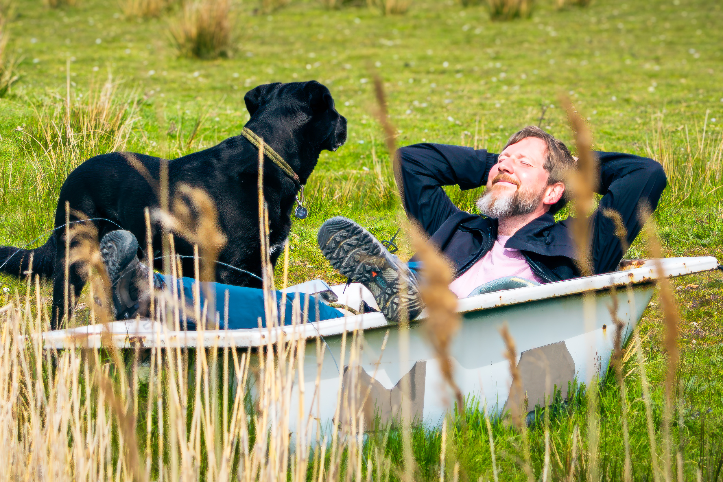 Warum fragt ein Hund?